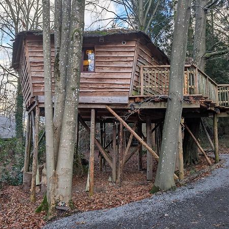 B&B La Cabane Du Bois Dormant Spa Dış mekan fotoğraf